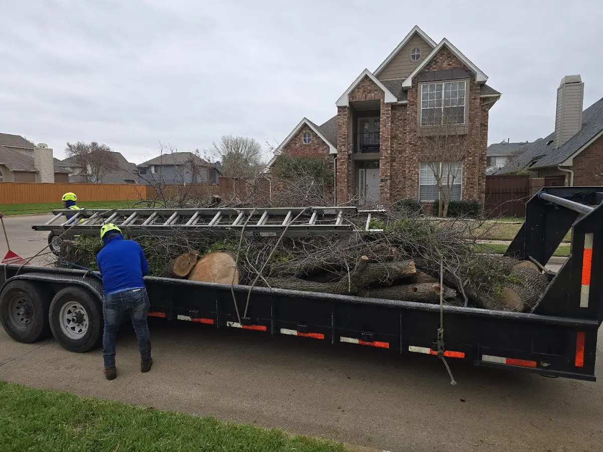 Expert Tree Fertilization with proper safety equipment in Port Republic